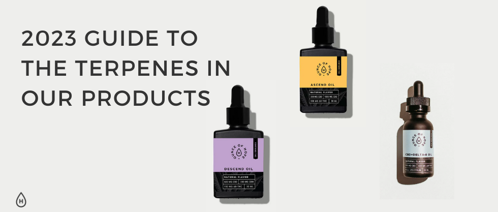 2023 Guide to the Terpenes in Our Products