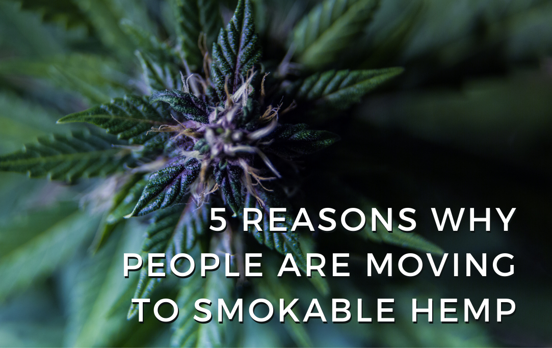 5 Reasons Why People are Moving to Smokable Hemp
