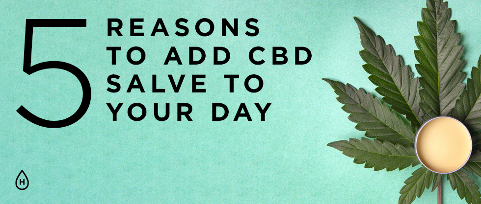 5 Reasons to Add CBD Salve to Your Day