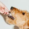 3mg Beef Flavored Dog Treats