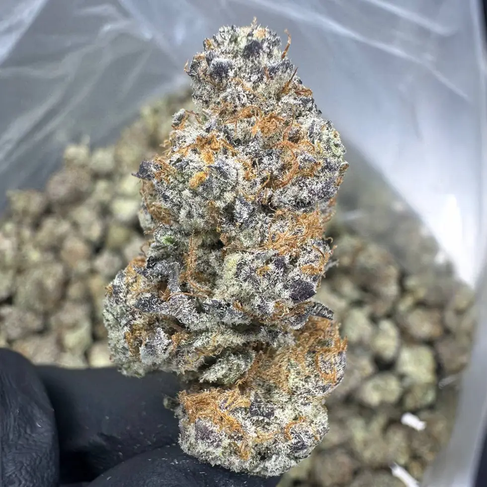 Blueberry Muffin Strain, 27.7% THCa Flower