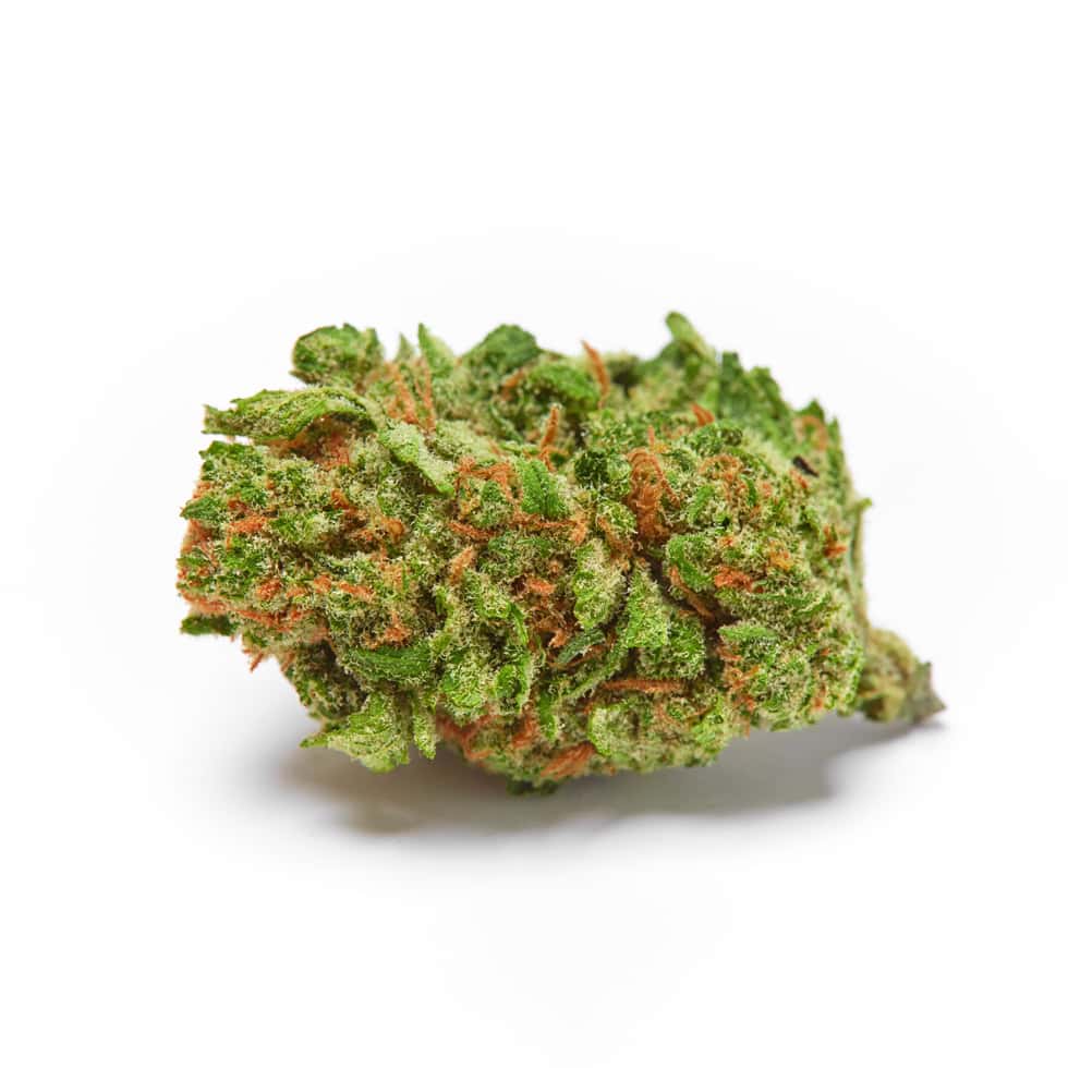 Blueberry Muffin Strain, 27.7% THCa Flower