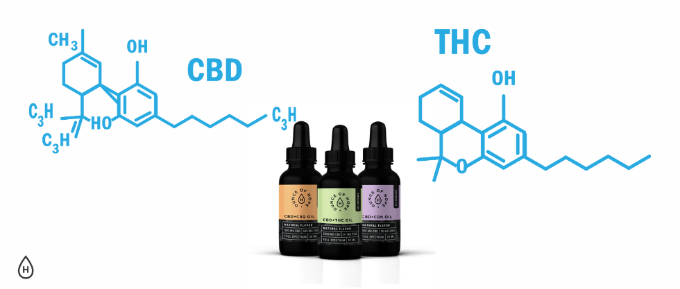 CBD vs. THC: What’s the Difference?