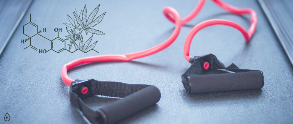 Can Cannabis Enhance Your Workout?