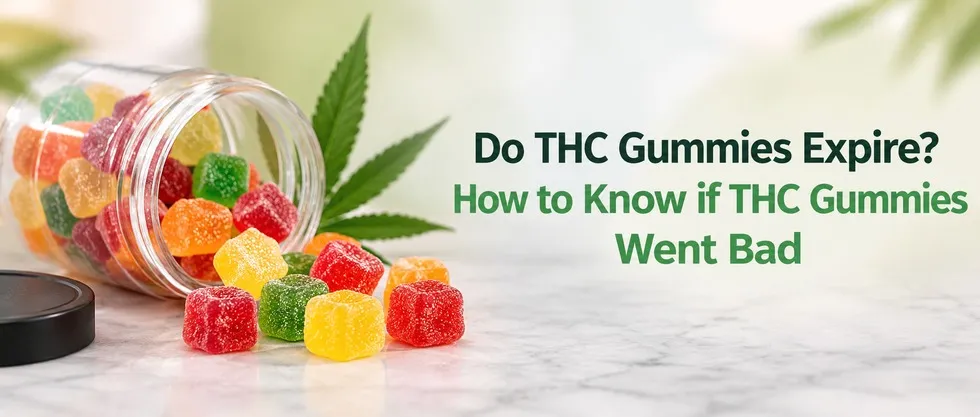Do THC Gummies Expire? How to Know if THC Gummies Went Bad
