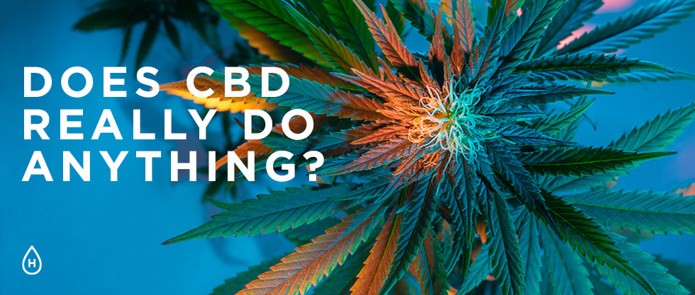 Does CBD REALLY Do Anything?