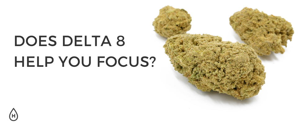 Does Delta 8 Help You Focus?