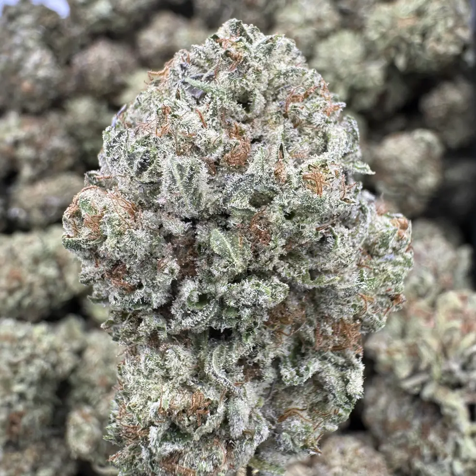 Double Stuffed Strain, 24.3% THCa Flower