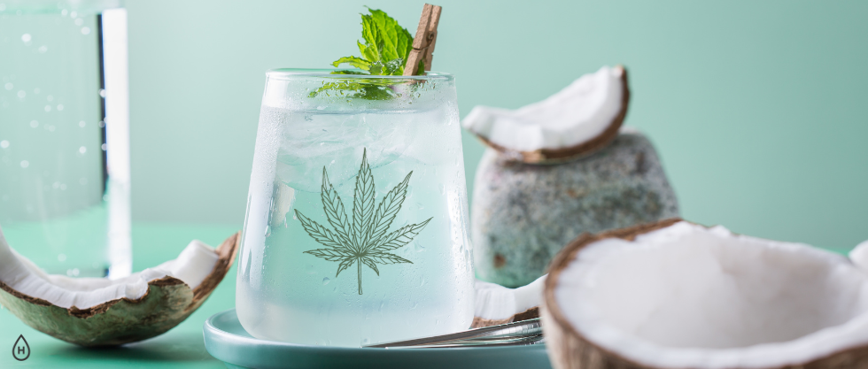 Fizz, Flavor, and Fun The Rise of THC Seltzers