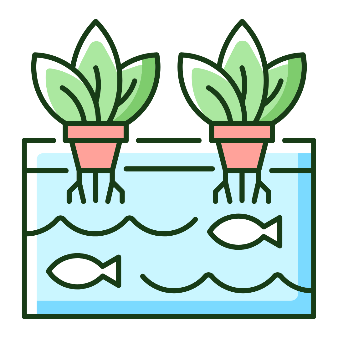 How Does an Aquaponics System Work