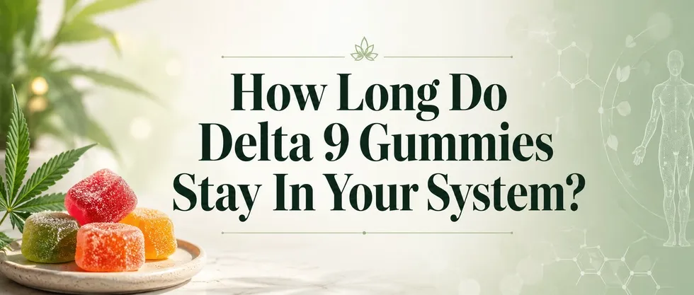 How Long Do Delta 9 Gummies Stay In Your System