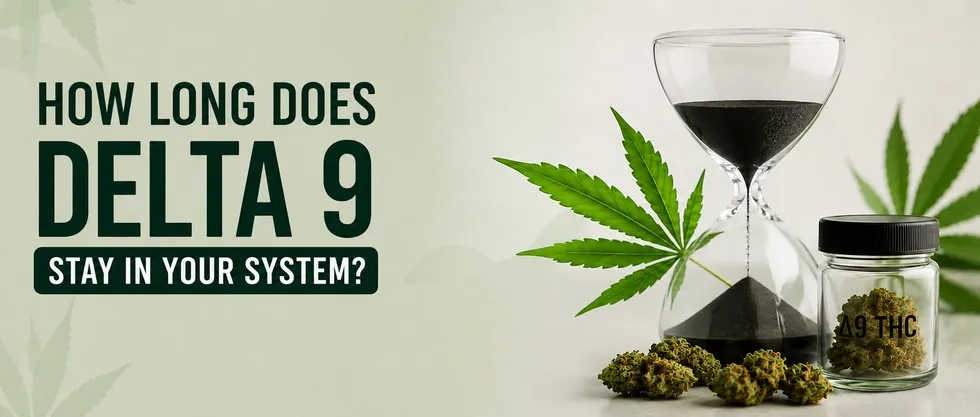 How Long Does Delta 9 Stay in Your System