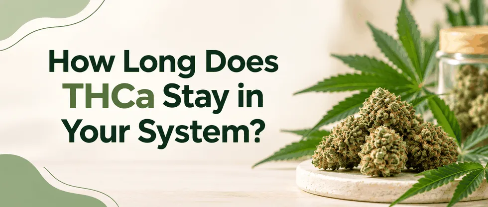 How Long Does THCa Stay in Your System?