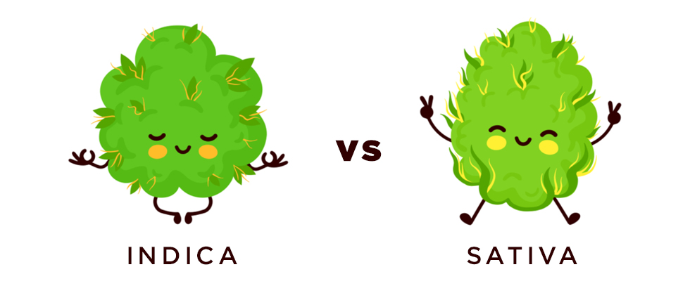 Is there a difference between indica and sativa?