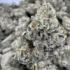 Jungle Gym Strain, 26.5% THCa Flower