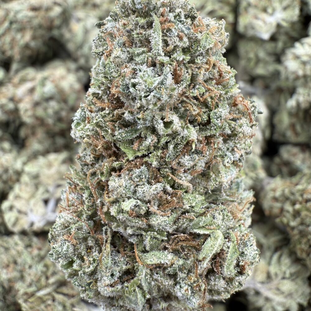 Mint Jelly Strain, 26.7% THCa Flower