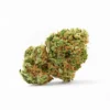 Delta 8 Aquaponic Pineberry Strain