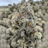 Blue Dream Exotic Strain, 28.3% THCa Flower