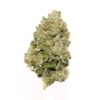 Pink Lemonade Strain, 23.9% THCa Flower