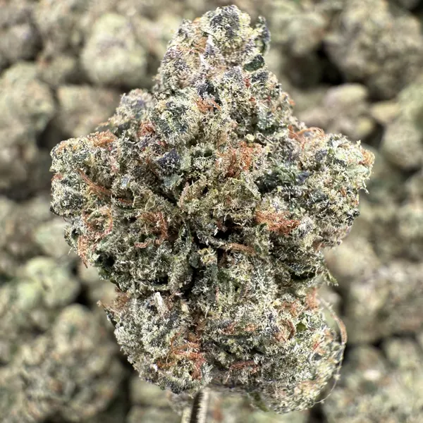 Frosted Cherry Strain, 27.0% THCa Flower