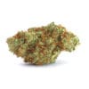 Golden Goat Strain, 25.5% THCa Flower