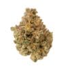 Jungle Gym Strain, 26.5% THCa Flower