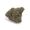 Gastro Pop Strain, 26.1% THCa Flower