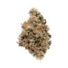 Jokerz Strain, 28.8% THCa Flower