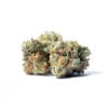 Mule Fuel Strain, 30.3% THCa Flower