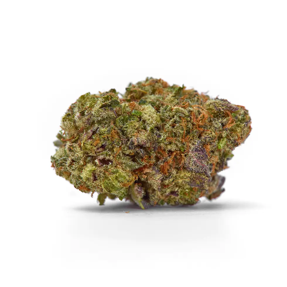 Purple Thai Strain, 24.7% THCa Flower