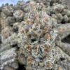 Sheesh Strain, 30.3% THCa Flower