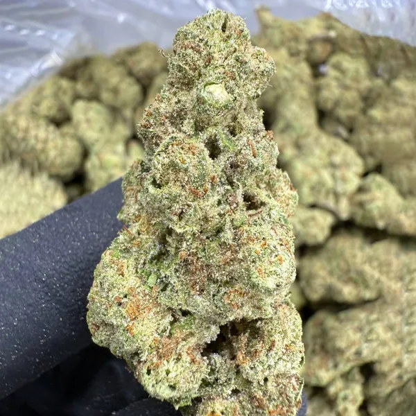 Strawberry Cough Strain, 24.5% THCa Flower