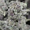 Tropicana Cookies Strain, 24.5% THCa Flower