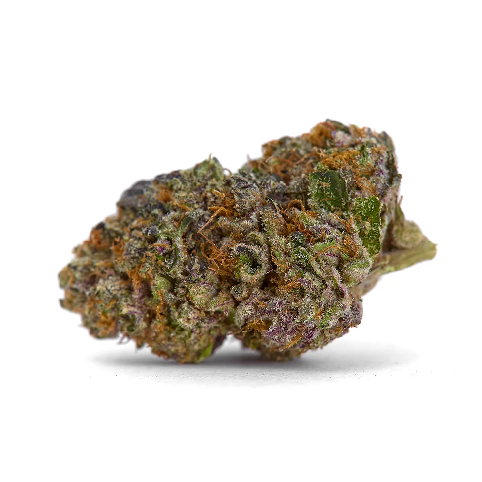 Blackberry Super Boof strain