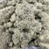 Sour Cherry Gelato Strain, 30.0% THCa Flower