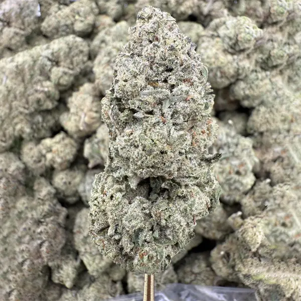 Sour Cherry Gelato Strain, 30.0% THCa Flower – 1 oz