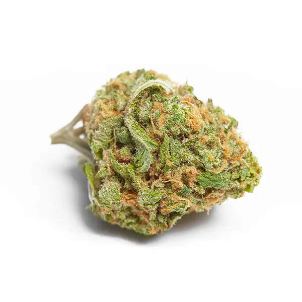 Sour Cherry Gelato Strain, 30.0% THCa Flower