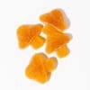 Vitality Mushroom Gummies