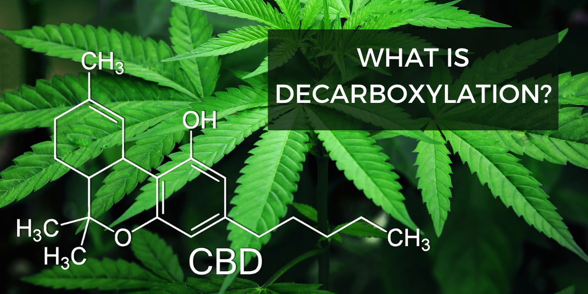 what is decarboxylation?
