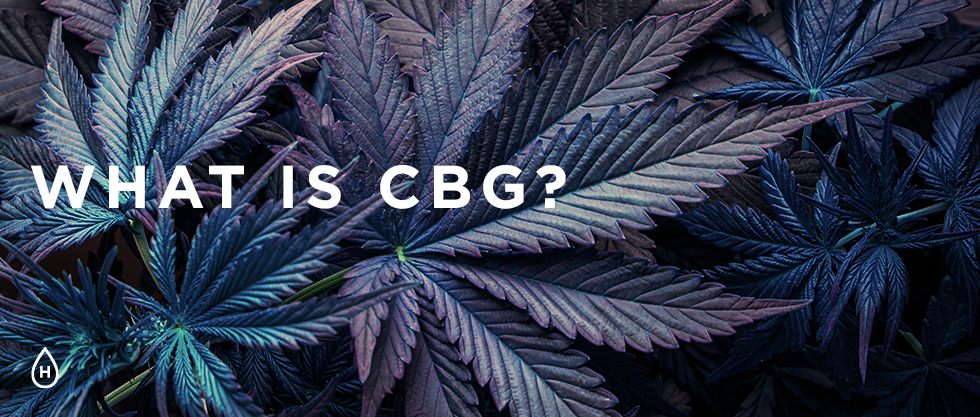 what is cbg?