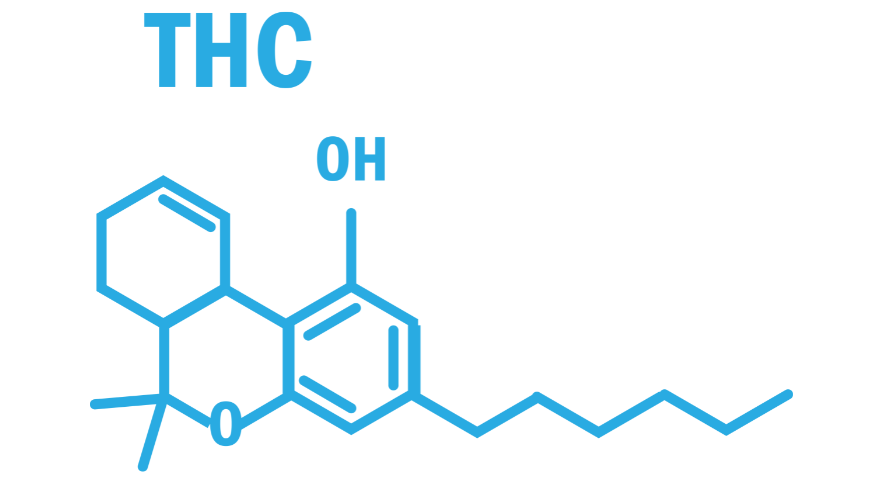 thc which causes hemp to get you high