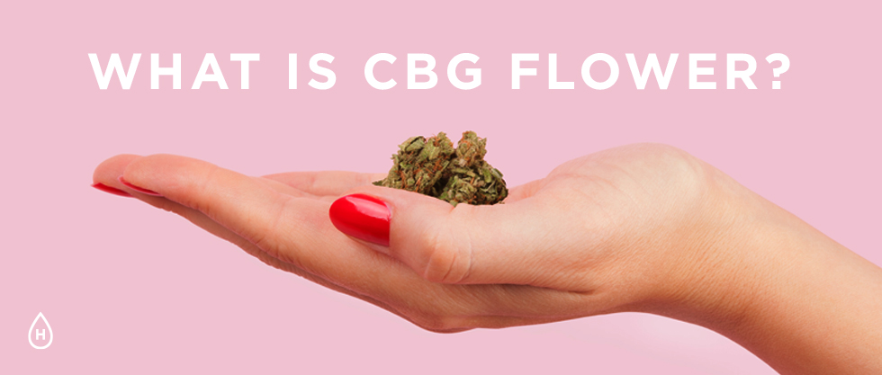 What is cbg flower