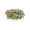 Aquaponic White CBG Flower