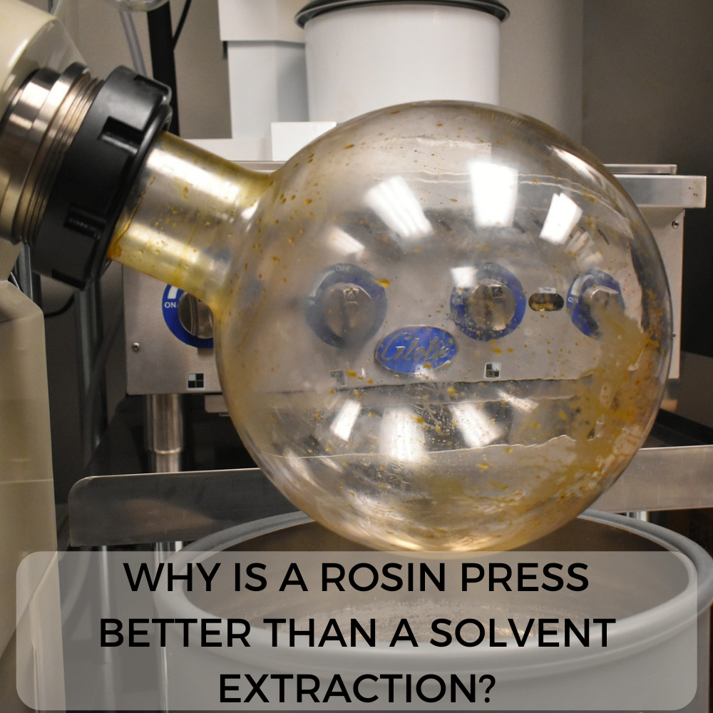 Why is a rosin press better than a solvent extraction