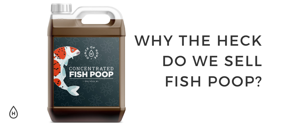Why the Heck Do We Sell Fish Poop?