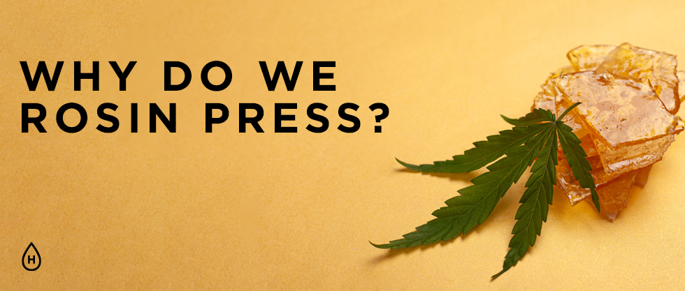 Why Do We Rosin Press? Plus, 5 Key Benefits