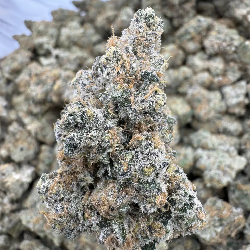 Blackberry Super Boof Strain, 28.17% THCa Flower