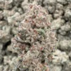 Blueberry Blast Strain, 24.9% THCa Flower