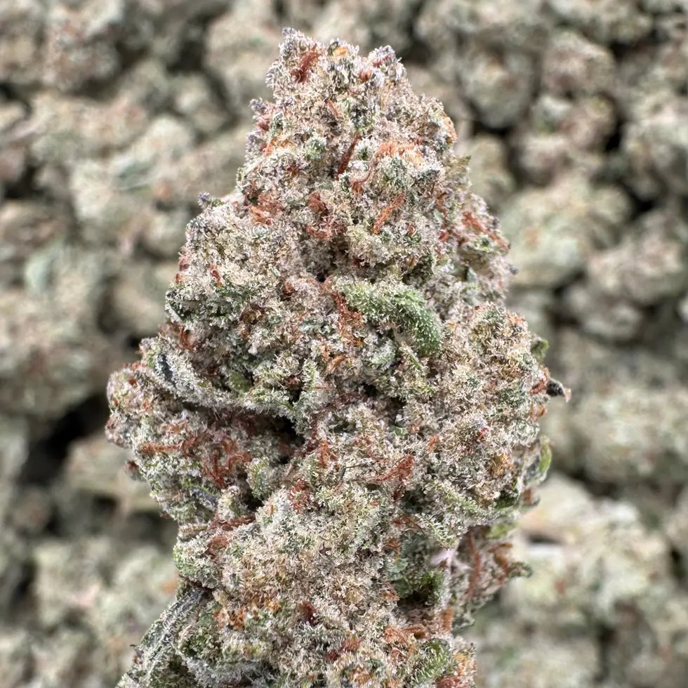 Blueberry Blast Strain, 24.9% THCa Flower