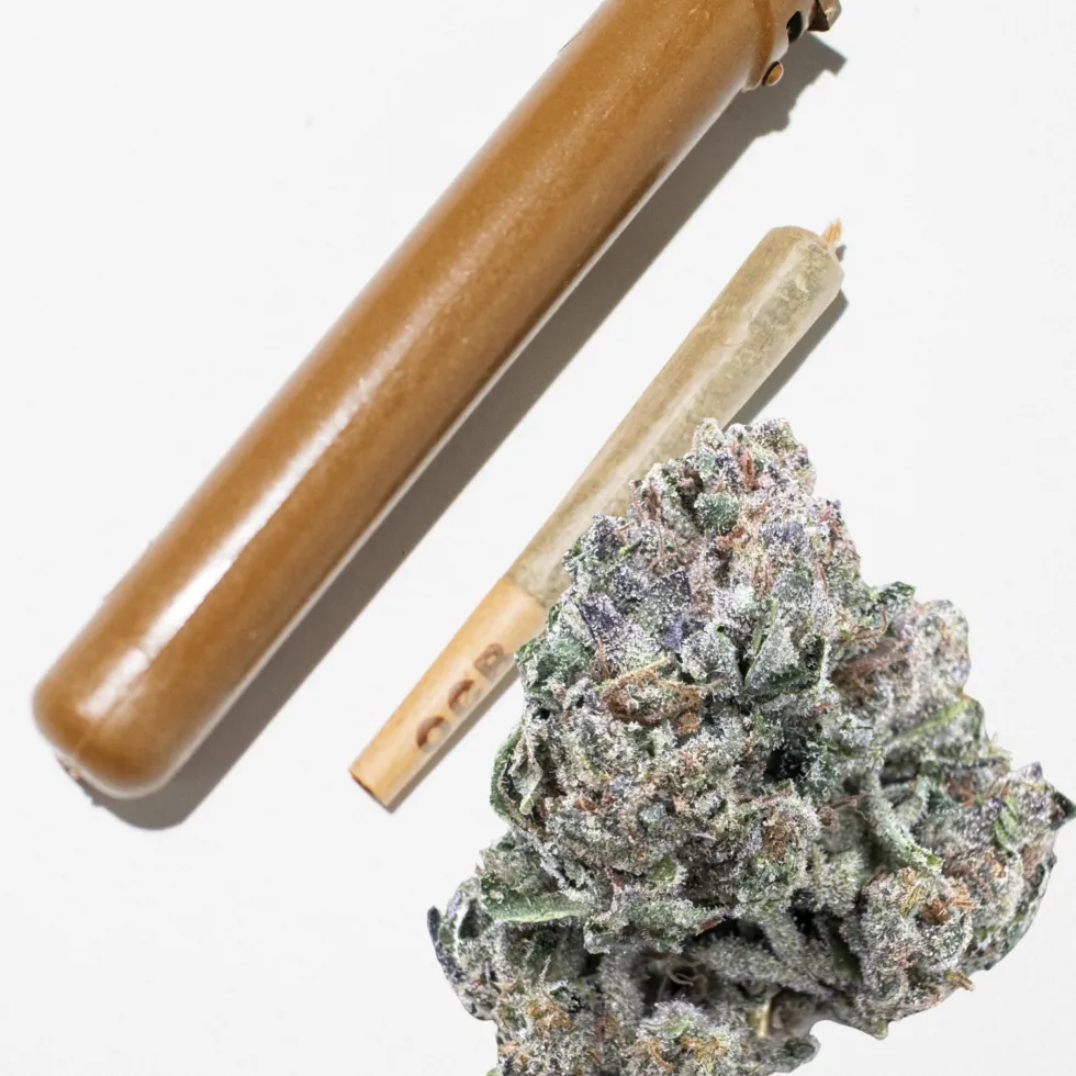 Blue Lobster, 26.5% THCa Pre-Roll